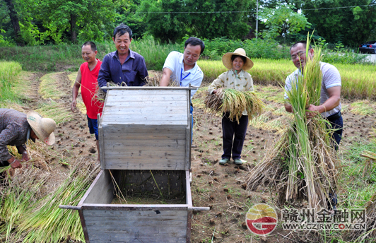 赣州银行“三送”工作队员帮助村民抢收早稻